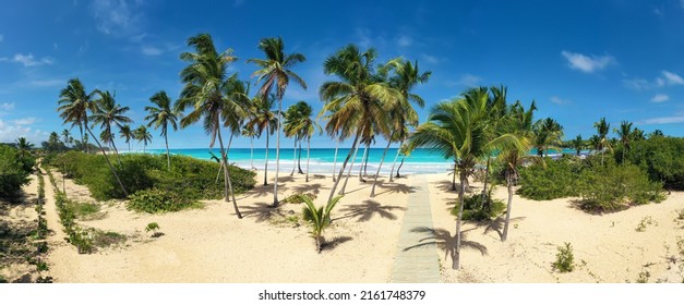Pristine and bounty caribbean shore with coconut palm trees and turquoise sea. Tropical landscape. Macao beach. Dominican Republic. Aerial view