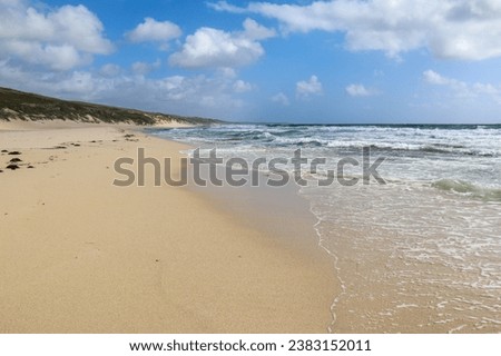 A pristine, empty and sandy beach with the ocean with waves and a summer sky as backgound