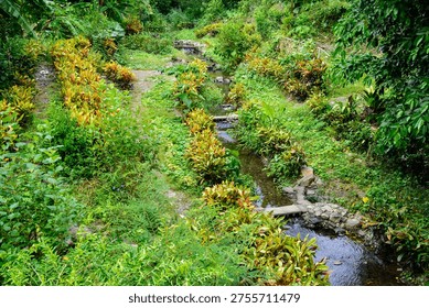 The pristine grasslands and clear streams present an unpolluted environment.