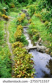 The pristine grasslands and clear streams present an unpolluted environment.