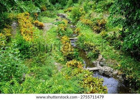 The pristine grasslands and clear streams present an unpolluted environment.