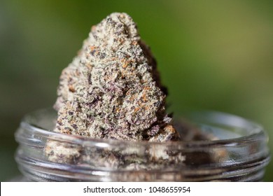 Pristine Marijuana Buds, Ready For Sale