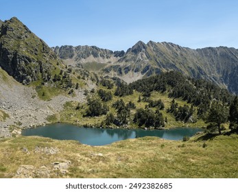 A pristine mountain lake is nestled among rocky peaks and lush greenery in the Pyrenees, showcasing the untouched beauty of this alpine landscape under a clear blue sky - Powered by Shutterstock