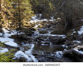Pristine Mountain Stream Flowing Through Snow-Covered Forest with Rocks and Melting Snow
