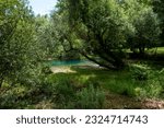 The pristine nature of this place that seems to come from the imagination of some fairy tale writer. We are at the Santissima in the Polcenigo area in the province of Pordenone. Italy. June 29, 2023