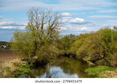 Pristine river ecosystem winding through lush green banks and blooming wild trees, sustainable environment concept