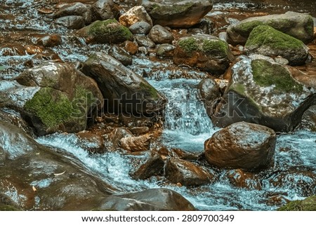 Pristine River Rapid Flowing Through Untamed Forest Landscape