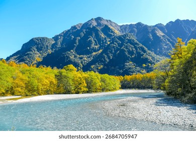A pristine river with a stony bed flows through a valley adorned with bright yellow and green autumn trees, set against a backdrop of majestic, dark mountains under a clear blue sky