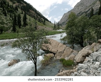 A pristine river winds through a lush, mountainous valley, surrounded by towering pines and rugged rocks. This serene landscape captures the essence of nature's untouched beauty and tranquility.

 - Powered by Shutterstock