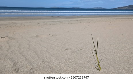 Pristine sandy beach with breaking waves in the background