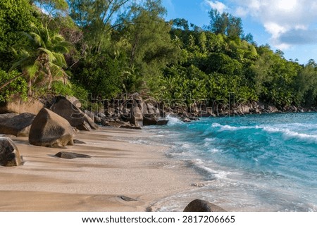 Pristine sandy cove with turquoise waves, granite rocks, and lush coastal forest under a bright sky.