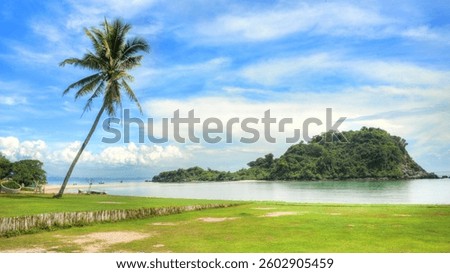 Pristine summer beach featuring a lone palm tree and a serene island surrounded by calm turquoise waters under a clear blue sky.