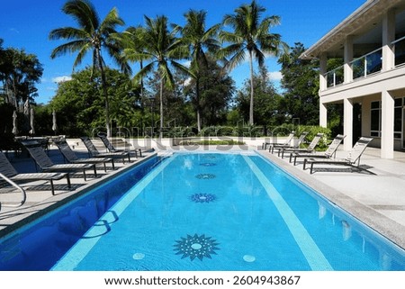 A pristine swimming pool with decorative patterns on the bottom is surrounded by lounge chairs and palm trees. The clear blue sky and lush greenery create a relaxing, tropical atmosphere.