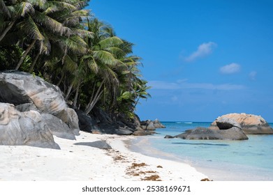 Pristine tropical beach with palm trees and rocky formations under a clear blue sky during a sunny day - Powered by Shutterstock