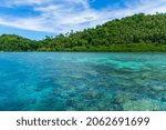 Pristine water at the coral garden in Puerto Galera, Mindoro Island, Philippines.  Travel and landscapes.