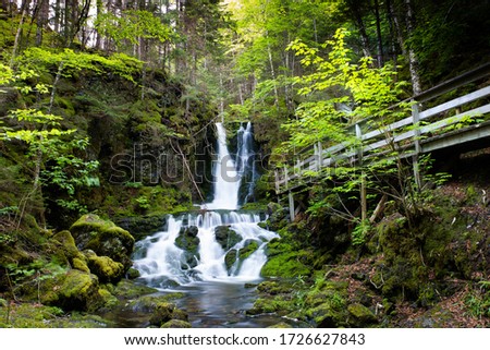 Pristine waterfalls with dense green natural forest trees in the middle of Fundy National Park. Dickson Falls, New Brunswick, Canada 