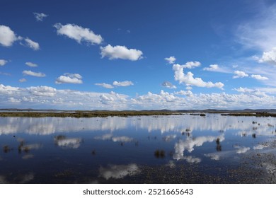 Pristine Wetland Reflections: A Serene Landscape of Clear Blue Sky, Fluffy Clouds, and Calm Waters in Untouched Nature - Powered by Shutterstock