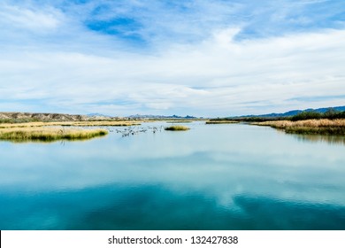 Pristine Wetlands Along The Southern Colorado River In The Mojave Desert At The Lake Havasu National Wildlife Refuge