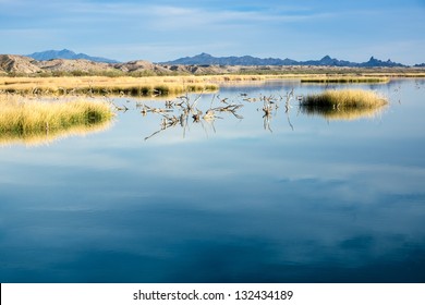 Pristine Wetlands Along The Southern Colorado River In The Mojave Desert At The Lake Havasu National Wildlife Refuge