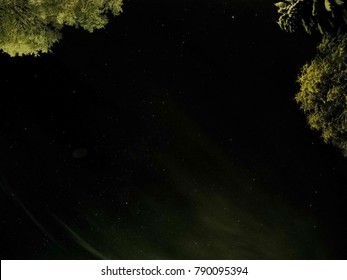 pristine white snow covered trees with dark star night sky background