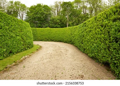 Private Gravel Driveway And Hedgerow