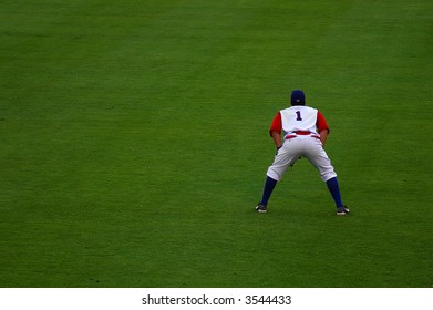 Pro Baseball  Player In The Field