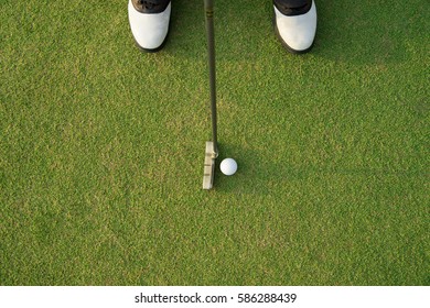 Pro Golfer Short Putting Golf Ball To Hole.