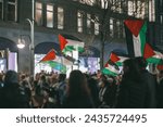 Pro - palestinian protests in Berlin. Flags of palestine waving between the people supporting palestine over israeli invasion of gaza.. Pro palestinian protests at night in european city