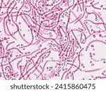 Probiotics, bacteria on white background. Bacteria and microorganisms. Microscopic probiotics, bacterial flora