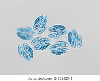 Probiotics, bacteria on white background. Bacteria and microorganisms. Microscopic probiotics, bacterial flora - Powered by Shutterstock