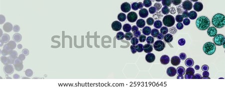 Probiotics, lactic acid bacteria. Algae, bacteria and microorganisms. Microscopic probiotics, bacterial flora