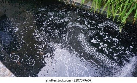 Problem Pond Foam Forming At The Base Of A Water Fall In A Koi Fish Pond