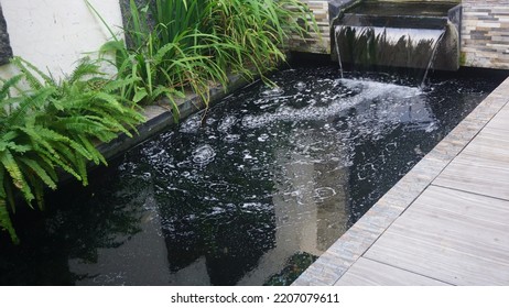 Problem Pond Foam Forming At The Base Of A Water Fall In A Koi Fish Pond