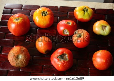 PROBLEM RIPE TOMATOES