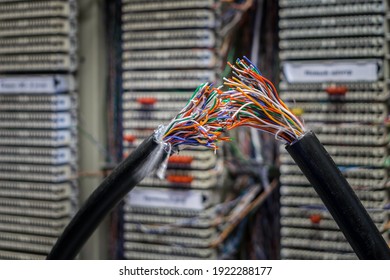 Problems with communication wires. Damage to the multicore cable for Internet communication and telephony. Broken trunk cable in the data center server room.