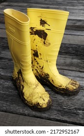 
Probolinggo, Indonesia, March 29 2022: Rubber Boots. Yellow Rubber Boots With Mud Stuck To The Shoes Lying On The Wooden Floor. Farmer's Shoes. Worker Shoes. Safety Boots. Safety Shoes. 