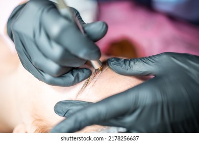 Procedure Of Eyebrow Microblading. A Master In Black Gloves Is Doing A Blending Needle Of Model's Brow. High Quality Photo