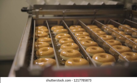 Procedure Of Making Donuts In A Small Town Donut Bakery - Donuts Frying In A Deep Fryer. Scene. Process Of Preparation Of Donuts