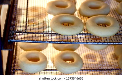 Procedure Of Making Donuts In A Small Town Donut Bakery - Donuts Preparing To Fry In A Deep Fryer. Scene. Process Of Preparation Of Donuts