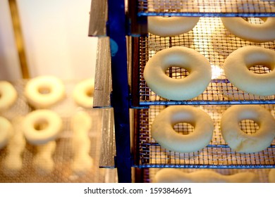 Procedure Of Making Donuts In A Small Town Donut Bakery - Donuts Preparing To Fry In A Deep Fryer. Scene. Process Of Preparation Of Donuts