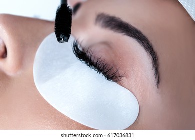 Procedure Placed Silk Eyelashes Girl In Beauty Salon, Close Up