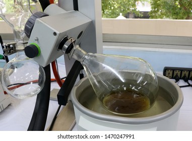 Process Of Cannabis Oil During  The Lab At University In Bangkok On August 2, 2019.