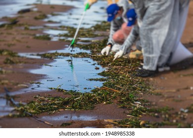 Process Of Cleaning Up The Shore Beach Line From Litter Garbage Rubbish Trash, Group Of Eco Volunteers Remove Oil Products Leak Spill, Plastic Waste And Dump Removing, Ecological Problems Concept