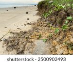 A process of coastal erosion caused by the power of ocean waves and ocean currents or the ebb and flow of ocean currents that are destructive is called abrasion or coastal erosion.