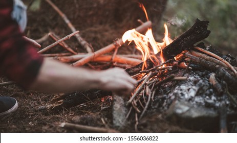 Process Of Coocking On The Fire In A Forest. 