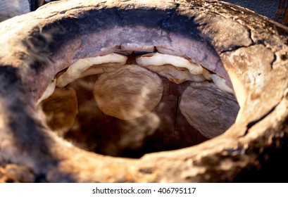 Process Cooking Flat Bread In The Tandoor Oven
