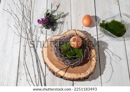 process of creating an Easter decor in a natural style. Nest of birch branches and moss and chicken eggs. Zero waste concept and handmade selfmade decor. Top view, step 3