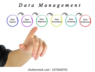Process of Data Management