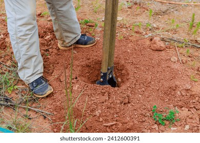 In process of digging fence post, man uses hand post hole digger