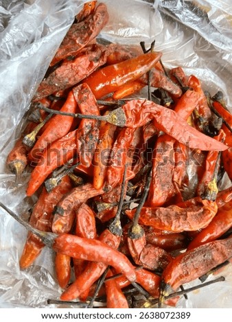 The process of drying chilies to be used as seeds for replanting 